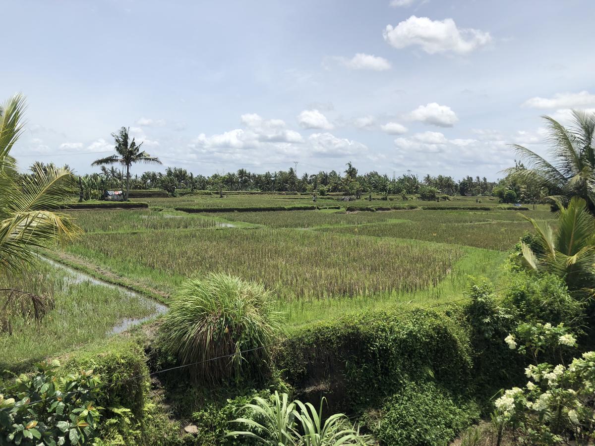 Hacco Capsule Hotel Ubud Exteriér fotografie